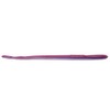 Roboworm 4.5" Straight Tail Worms (10 Pk)