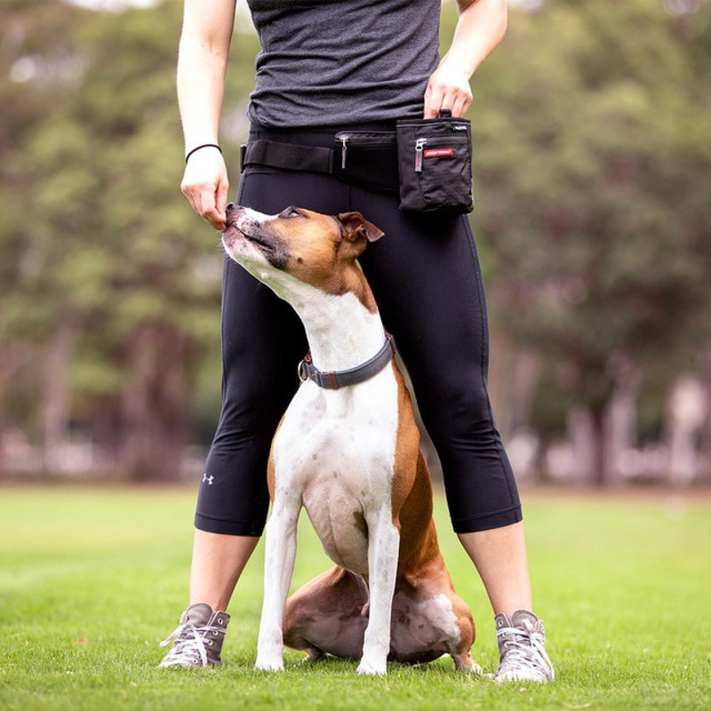 EzyDog Snakpak Treat Bag, Black