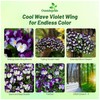 Outsidepride Cool Wave Violet Wing Viola Pansy Seeds for Planting