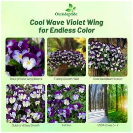 Outsidepride Cool Wave Violet Wing Viola Pansy Seeds for Planting - 30 Pcs. Biennal, Spreading, Cold-Hardy & Pollinator Friendly Flowers with Fragrant Blooms for Garden Beds, Borders & Containers