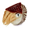Carolata Nautilus Plush Animal 11cm*16cm*19cm