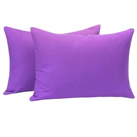 NTBAY Zippered Toddler Pillowcases Set of 2, 100% Brushed Microfiber 13x18 Pillowcases, Super Soft and Cozy Travel Kids Nursery Pillow Cases, 13x18 Inches, Purple