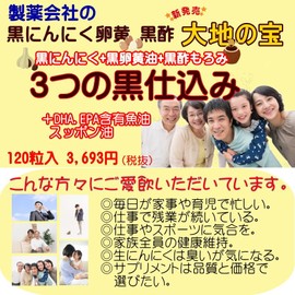 黒 にんにく卵黄 黒酢 すっぽん 120粒 大地の宝 国産 無臭 熟成 黒酢にんにく ニンニク サプリ