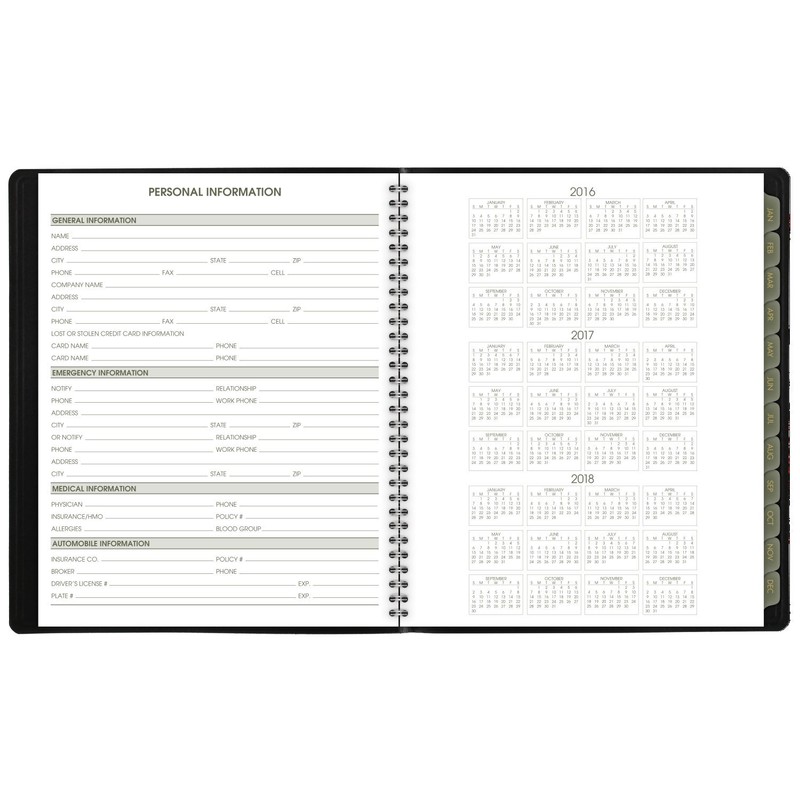 At-A-Glance – Calendario mensual planificador/Nombramiento libro 2017, 8 – 7/20,3