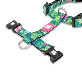 Max & Molly Dog Harness in H-shape, Ultra Comfortable Neoprene Harness for Medium Dogs, Tropical, M, Padded, Safe and Ultralight – Comfort for Your Faithful Companion