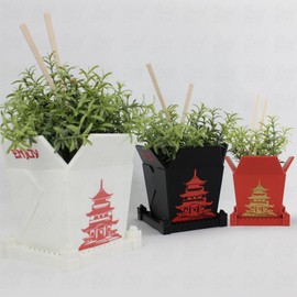 3D Printed Planter Chinese Takeout Box - Set of 3 with (Free) Trays and Chopsticks - Plant Pot with Drainage Decor, Oyster Pail planters Plant - Made in USA