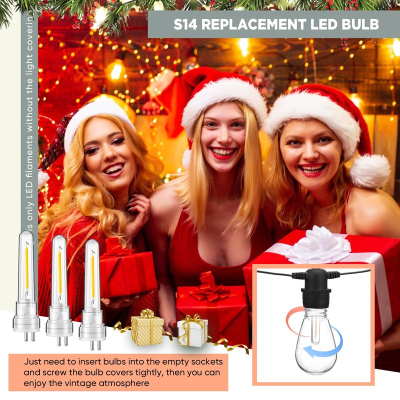 Rossesay 12 Pcs S14 Bulbs for Outdoor String Lights 1.5