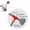 SEAFRONT 3 Way Shower Head Diverter Valve Adjustable Showerhead Bracket