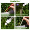 Tomorotec Glass Plant Self Watering Globes 2-Pack Pearl Luster Clear