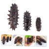 KICHOUSE 3pcs Lifelike Artificial Sea Cucumber Models Display Props Fun