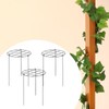 Folpus 3 Pieces Peony Cages and Supports Plant Support Stakes