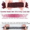 Human Hair Afro Kinky Bulk for Dreadlocks Extensions Repair Locs