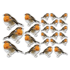 A5 Sticker Sheet Robin Vinyl Stickers - Red Breast Bird Garden Animals Scrapbooking Decoration Label Friend Girls Boys Aesthetic #30913