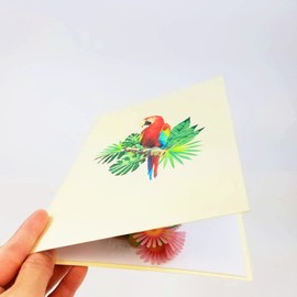 POP CARD EXPRESS Colorful Parrot Pop Up Birthday Card - Happy Birthday Pop Up Card for son, daughter, wife, friends, Nature, Wild Animal, Bird lovers