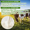 GRASS FED WPI instant ホエイプロテイン 500ｇ GMO Free グラスフェッド 牛成長ホルモン不使用