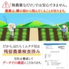 Mukuna Beans (Produced in Wakayama Prefecture) Powder, 10.6 oz (300