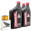 1989 HONDA TRX300 FOURTRAX 300 OIL CHANGE KIT
