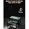 Heavy Duty 2 Step Stool for Adults, Step Stool with