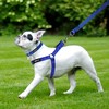 No Pull Dog Harness - Step in Dog Harness and