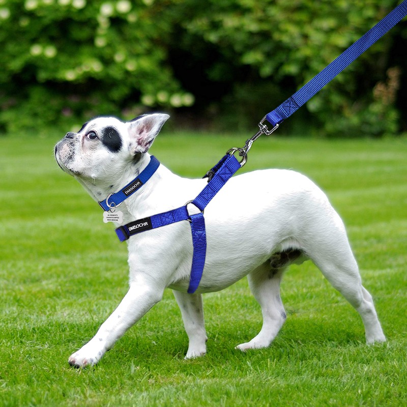 No Pull Dog Harness - Step in Dog Harness and