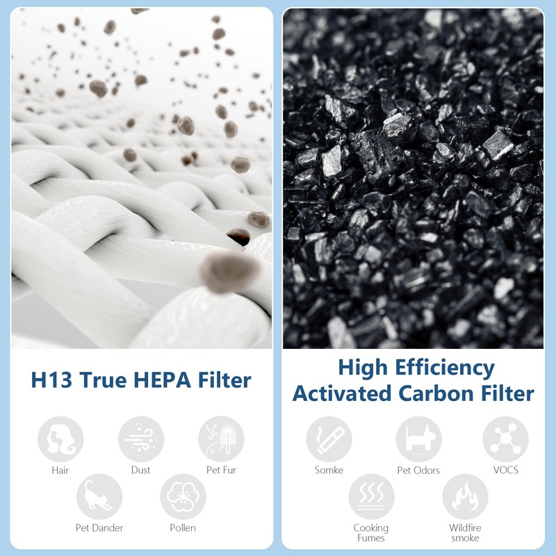 4 Pack HAP603 Replacement Filter Compatible with ECOSELF HAP603 /