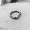 Briny River 10 Pieces Metal Flat D Ring Spring Key