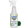 Mighty Mint Peppermint Oil Insect Repellent Spray – Natural Indoor