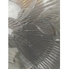Arcoroc Set Of 4 Arcoroc Canterbury Dinner Plates Floral Clear