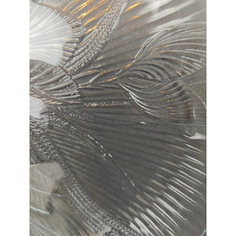 Arcoroc Set Of 4 Arcoroc Canterbury Dinner Plates Floral Clear