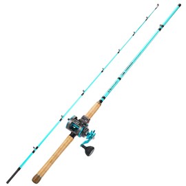 Sougayilang Inshore Fishing Rod Combo with Line Counter Fishing Reel Suitable for Catfish, Salmon/Steelhead, Striper Bass Fishing - Right Handled,