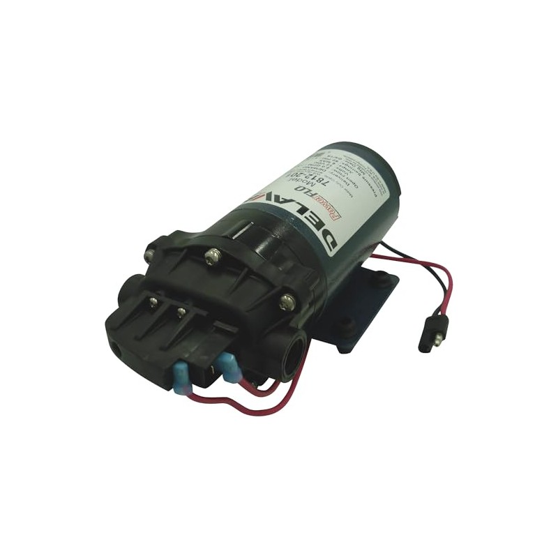 Delavan Pumps Demand Style Diaphragm Sprayer Pump, 2 GPM, 12