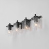 Globe Electric 52089 Dakota 4-Light Vanity Light, Matte Black, Seeded