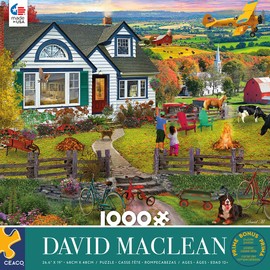 Ceaco - David MacLean - The Fly by - 1000 Piece Jigsaw Puzzle