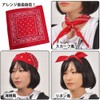 DF Gallery Bandana Hair Accessory Dance Costume Accessories Paisley Cotton