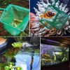 YFFSFDC 2 Pcs Fish Net for Breeding Medallion Fish Net