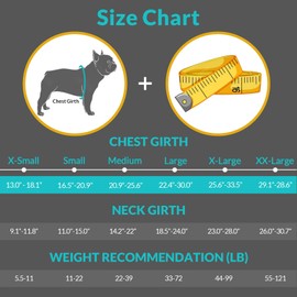 Queenmore Dog Life Jacket High Flotation, Reflective Dog Life Vest for Swimming, Adjustable Dogs Life Preserver Rescue Handle Spring Summer Pool for Small, Medium, Large Dogs (Ocean Blue,S)