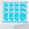 땀닦는 물티슈 쿨링 프레쉬 여름 시트 얼굴 휴대용 티슈 15매입 12개 Sweat Wiping Cooling Fresh Summer Face Wipes 15 Sheets 12 Packs [12 items]