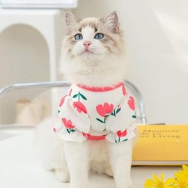 SellerHub PET Dog Clothes Puff Tulip Waffle T-shirt Summer Clothes (S30683311) / PET 강아지 옷 퍼프 튤립 와플 티셔츠 여름옷 (S30683311)