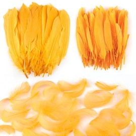 Neerow Feathers for Crafts, Pack of 250 Yellow Craft Feathers, Natural Feathers Craft for Dream Catchers, Earrings, DIY Crafts, Headdress Feathers, Wedding, Party Decoration (3 Styles)