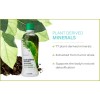 Youngevity Dr. Wallach Plant Derived Minerals - 3 Pack -