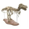 Jextech Esqueleto Tiranosaurio Rex T Rex Dinosaurio Fosil Armar 70cm