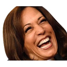 Kamala Harris headlock Trump 72" Tall Life Size Cardboard Cutout Standee