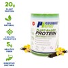 Performance Inspired Nutrition Plant-Based Protein Powder – All Natural –