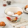 Metalac Enamelware Bowl Gourmet Enameled Steel Bowl with Lid Serving