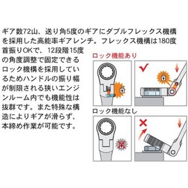 Pro-Auto DFL1012 Double Flex Lock Gear Wrench 10x12mm