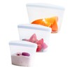 Stasher Premium Silicone Reusable Food Storage Bags, 3-Pack, Clear, Multi-Use