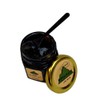 Pure Altai Mumijo Resin 50 grams - Mumio, Shilajit, Moomiyo
