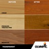 Olympic WaterGuard 1 gal. Woodland Cedar Transparent Wood Stain and