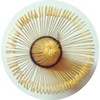 Handcrafted Golden Bamboo Matcha Whisk, 100 Prongs Traditional Japanese Chasen