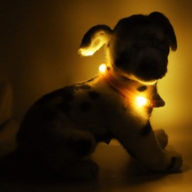 LEUCHTIE® Mini Light Collar I LED Collar for Small Dogs I Waterproof I Extremely Bright